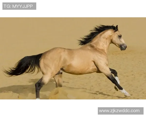 世界顶级黑人右边锋盘点:速度与技术的完美结合 世界顶级黑人右边锋盘点:速度与技术的完美结合