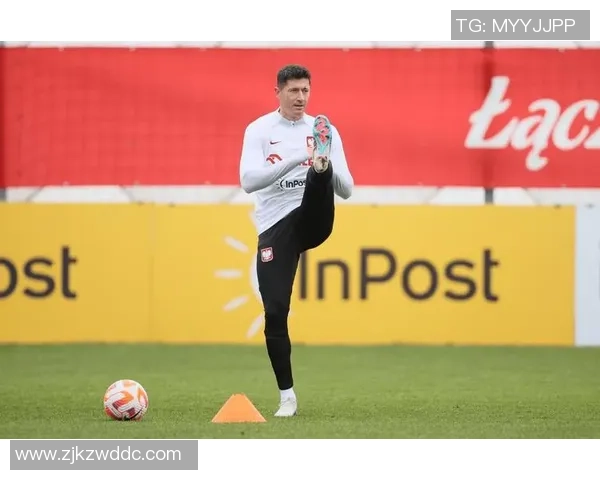 2023年度捷克足球球星表现盘点与赛场风采全景解析