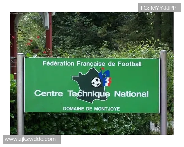 法国足球黑脚球星的传奇故事与足球生涯解析